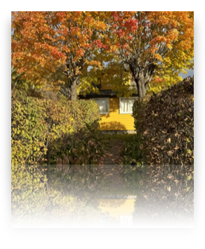 collage image title