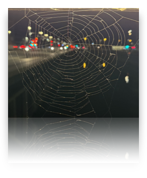 collage image title